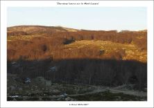 dernires lueurs sur le mont lozre.jpg